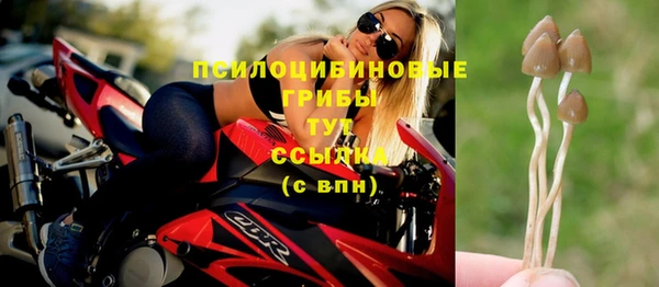 бутират Гусиноозёрск