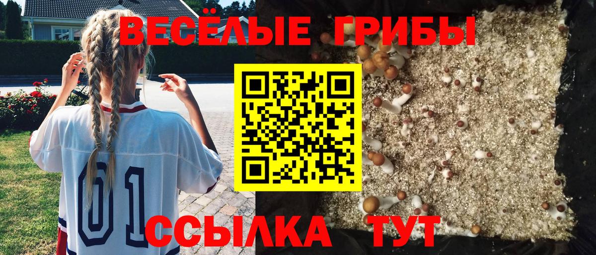 Галлюциногенные грибы Cubensis  Вход с VPN  Десногорск 